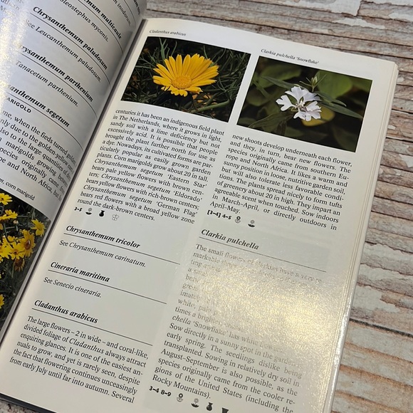 The Complete Encyclopedia Of Summerflowers - Picture 6 of 11